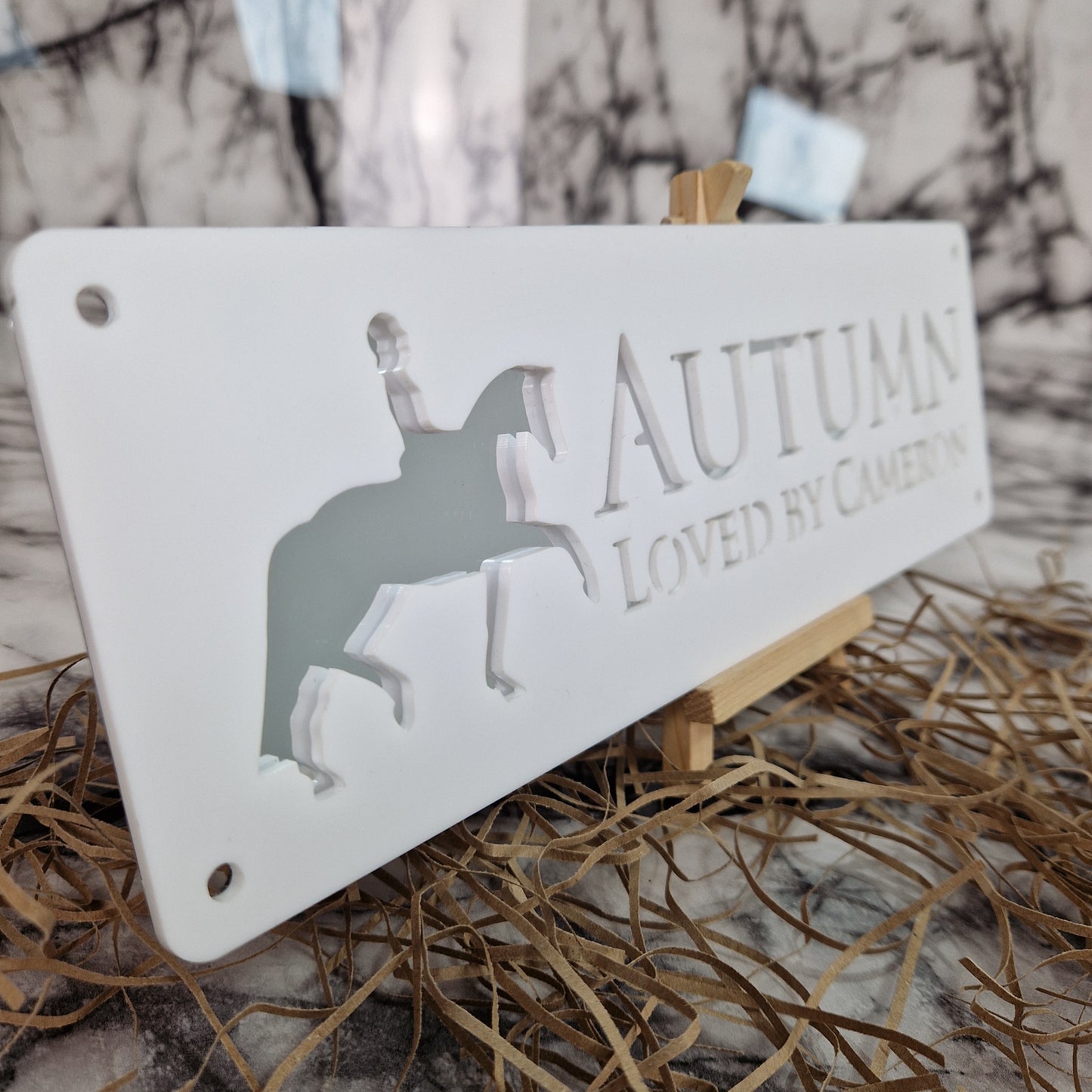 White and Silver Mirror Laser Horse Stable Personalised Sign