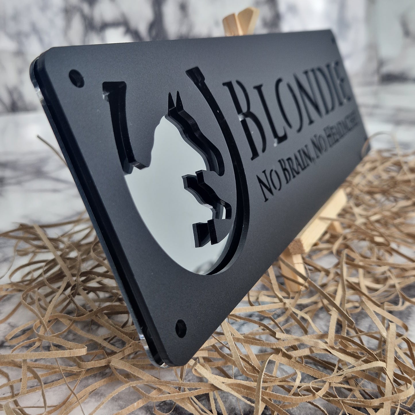 Black and Silver Mirror Laser Horse Stable Personalised Sign
