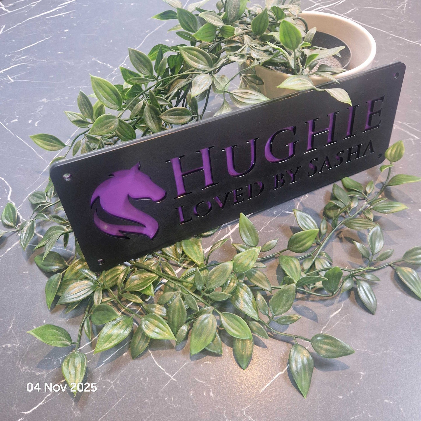 Personalise Your Laser Horse Stable Sign with ALL New Colour options! Black front!