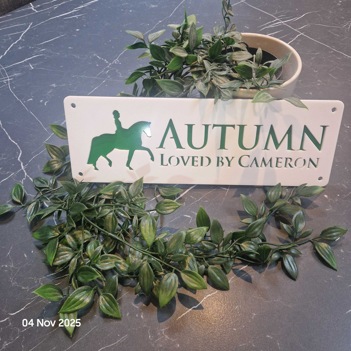 Personalise Your Laser Horse Stable Sign with ALL New Colour options! WHITE front!