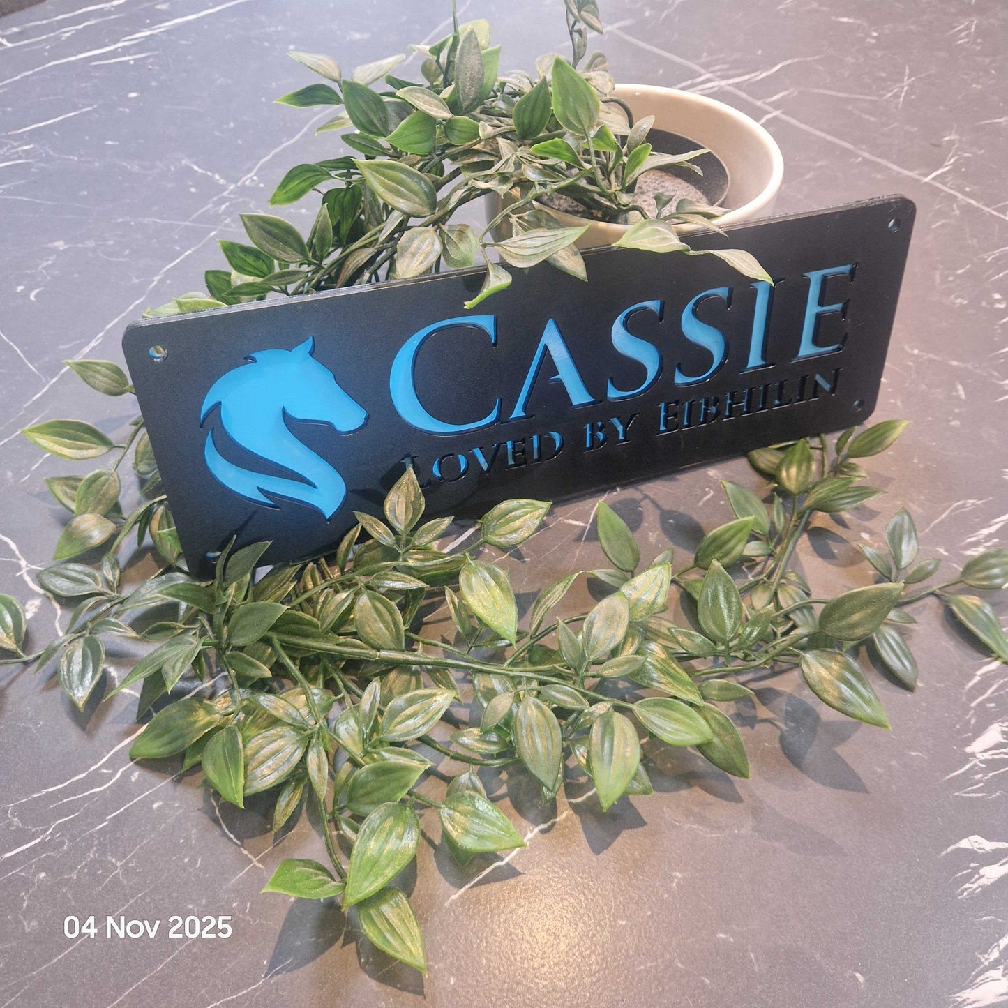 Personalise Your Laser Horse Stable Sign with ALL New Colour options! Black front!