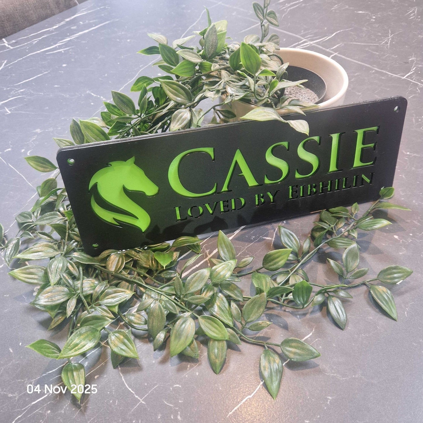 Personalise Your Laser Horse Stable Sign with ALL New Colour options! Black front!