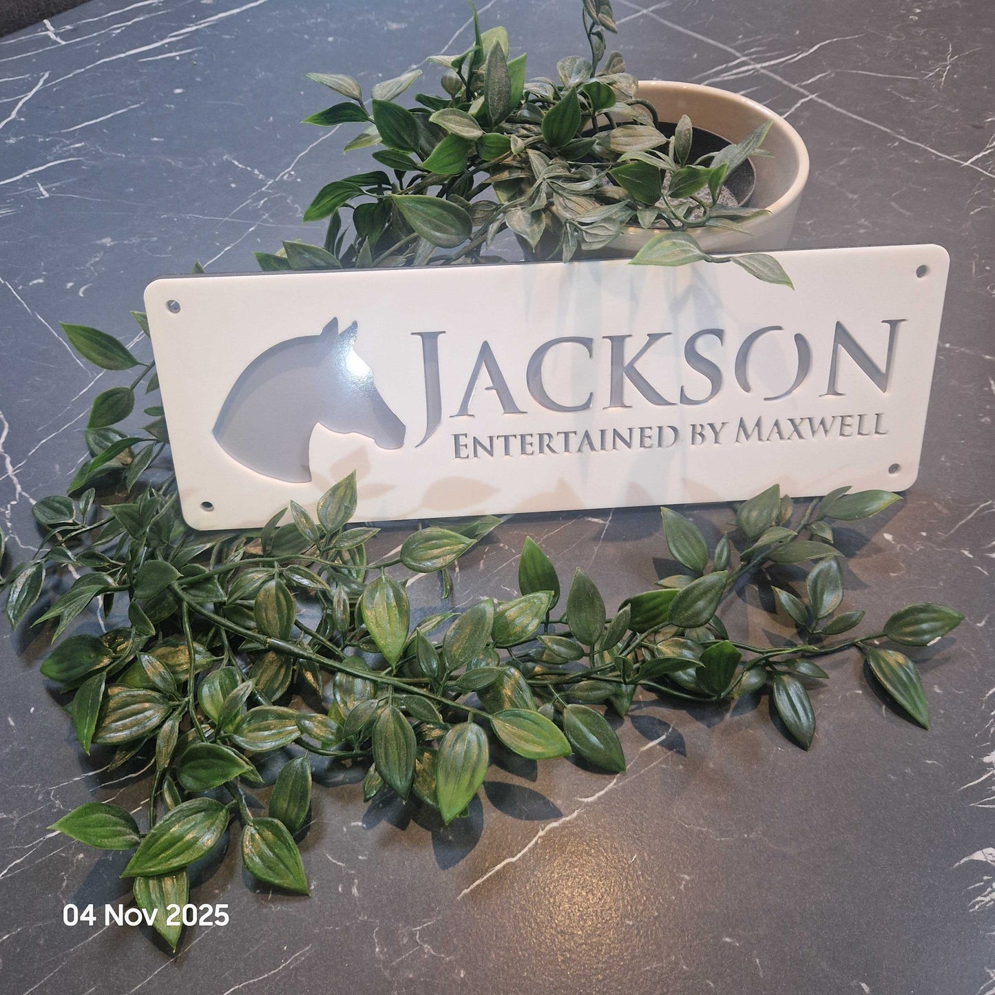 Personalise Your Laser Horse Stable Sign with ALL New Colour options! WHITE front!