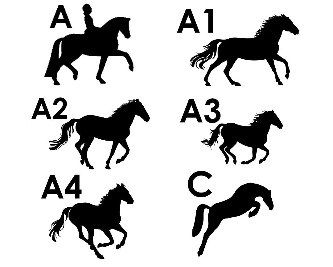 Horse Stable Name sign with Rainbow Leopard animal design