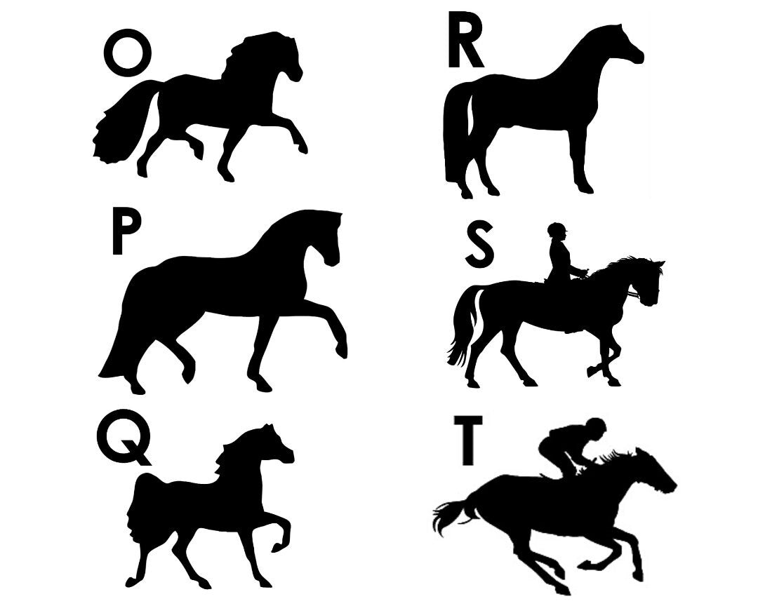 Horse Stable Name sign with Rainbow Leopard animal design