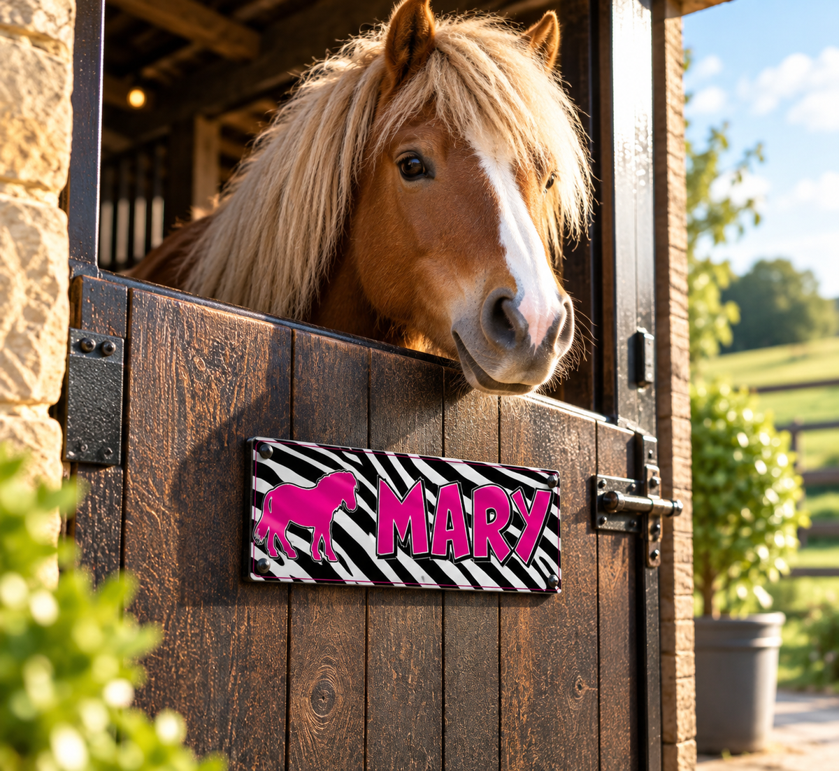 Black and White Zebra Design with Pink writing