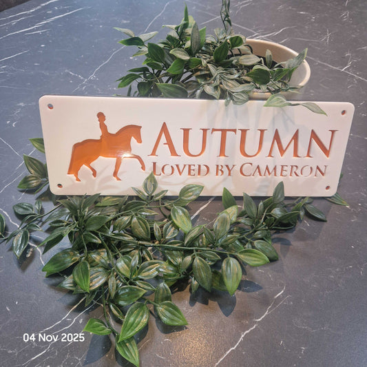 Personalise Your Laser Horse Stable Sign with ALL New Colour options! WHITE front!