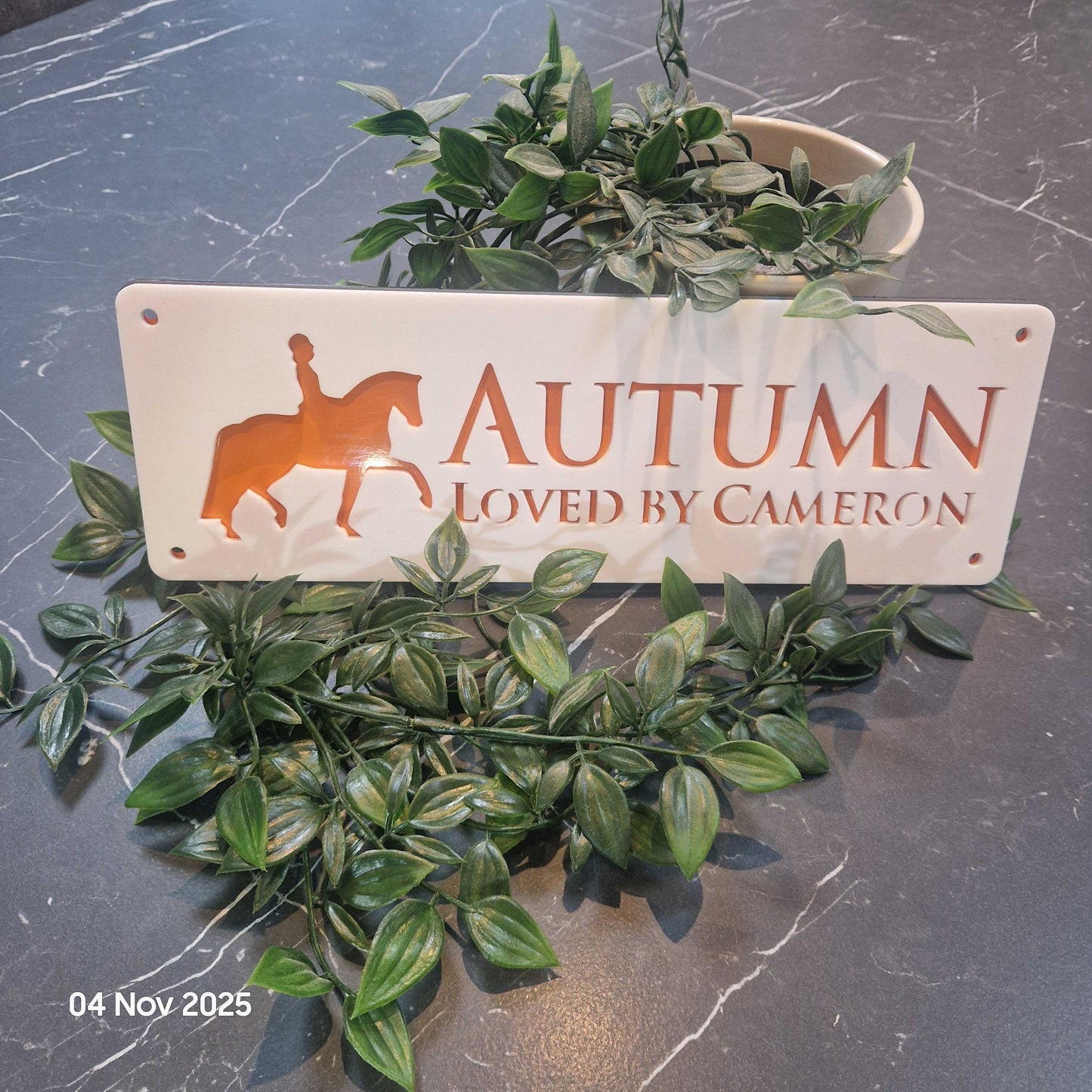 Personalise Your Laser Horse Stable Sign with ALL New Colour options! WHITE front!