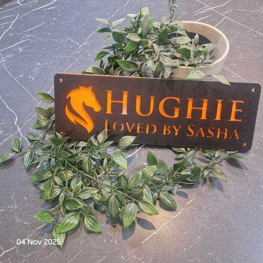 Personalise Your Laser Horse Stable Sign with ALL New Colour options! Black front!
